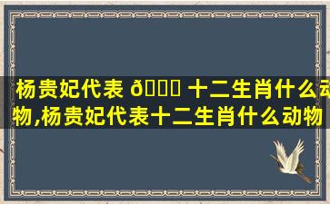杨贵妃代表 🐕 十二生肖什么动物,杨贵妃代表十二生肖什么动物